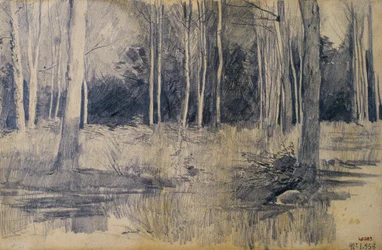 Bosquet